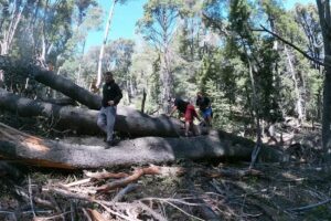 TRAFUL ANDINO Experiencias