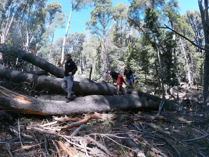 TRAFUL ANDINO Experiencias