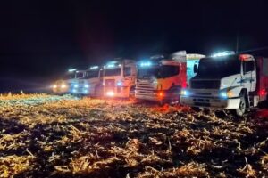 Transporte Mis Viejos de Domínguez hermanos