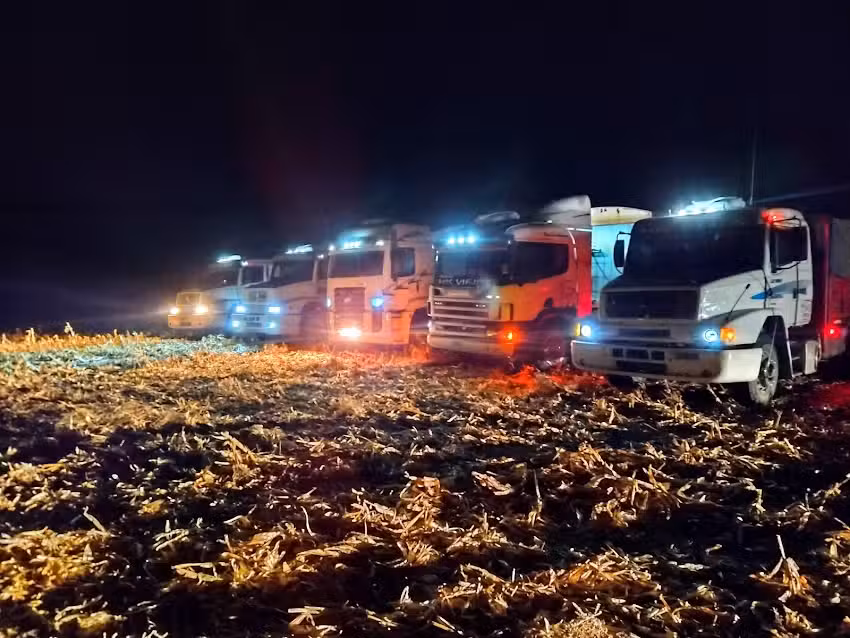 Transporte Mis Viejos de Domínguez hermanos