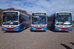 TRANSPORTE NATALIA SA