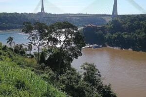 Traslados a Cataratas | Transfer Dani | taxi Iguazú