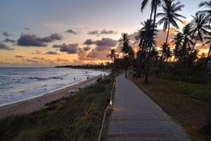 Travel Services – Mendoza