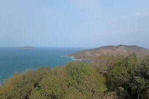 Travel Services – Microcentro