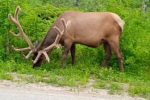 Turimirth Internacional