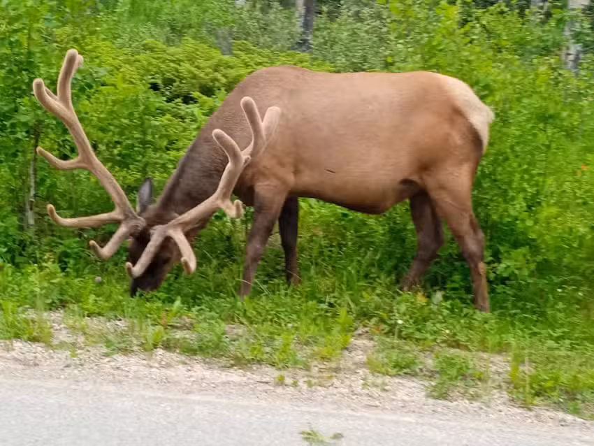 Turimirth Internacional