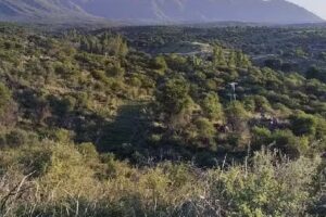 Turismo Arqueológico y cultural