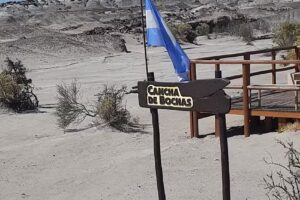 Turismo Bacur Leg 12551