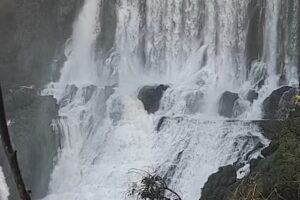 Turismo cataratas, taxi, remis