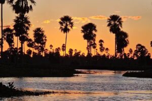 Turismo Estrella Soledad