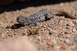 TURISMO PERITO MORENO