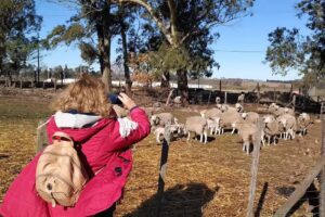 Turismo Rural Tandil