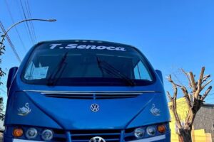 Turismo Senoca, autobuses