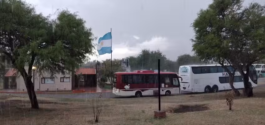 Turismo Senoca, autobuses