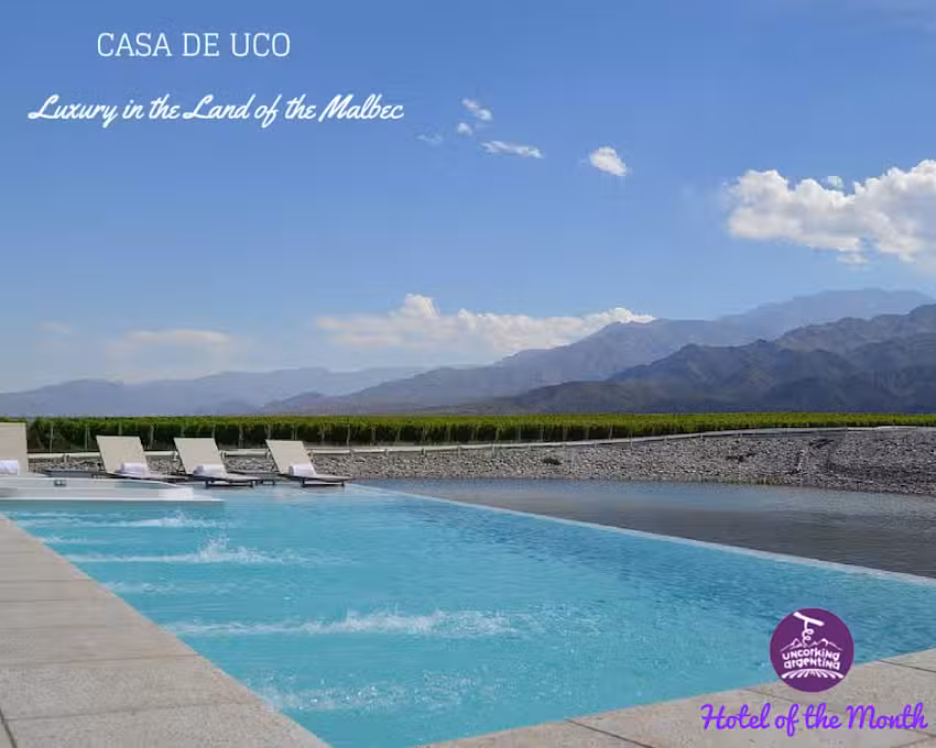 Uncorking Argentina Tours