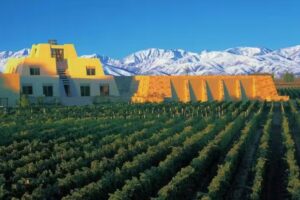 Uva Uva – Agencia de Turismo