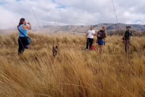 VACHELLIA TREKKING /Senderismo