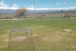 Valle de Uco Experience