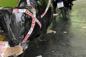 Via Cargo San Isidro