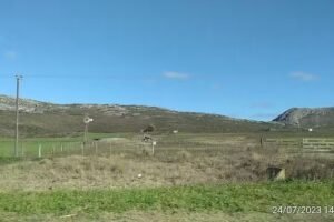 Via TAC Terminal Tandil