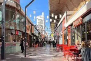 Viajando con Bibiana