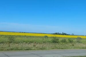 Viajar Empresa de Turismo