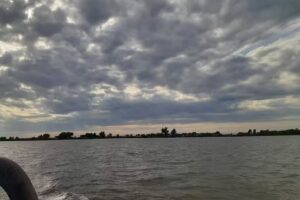 Viajes a la isla Carlos bello