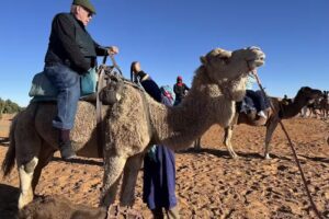 Viajes Fascinantes by Business Group Travel Brokers