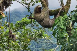 Viajes TDH – RUTA 20