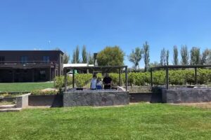 VINOMIO Mendoza Wine Tours