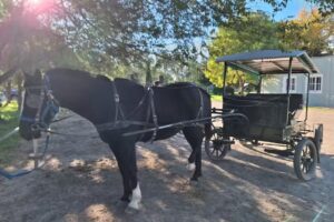 Visita colonia Menonita