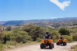 VULTUR SERVICIOS TURÍSTICOS