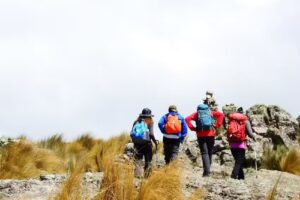 WARMI Turismo Alternativo