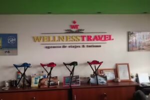 WELLNESS TRAVEL