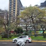 What To Do Argentina