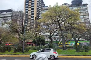 What To Do Argentina