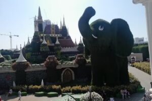 Xotic Travel Coronel Suarez