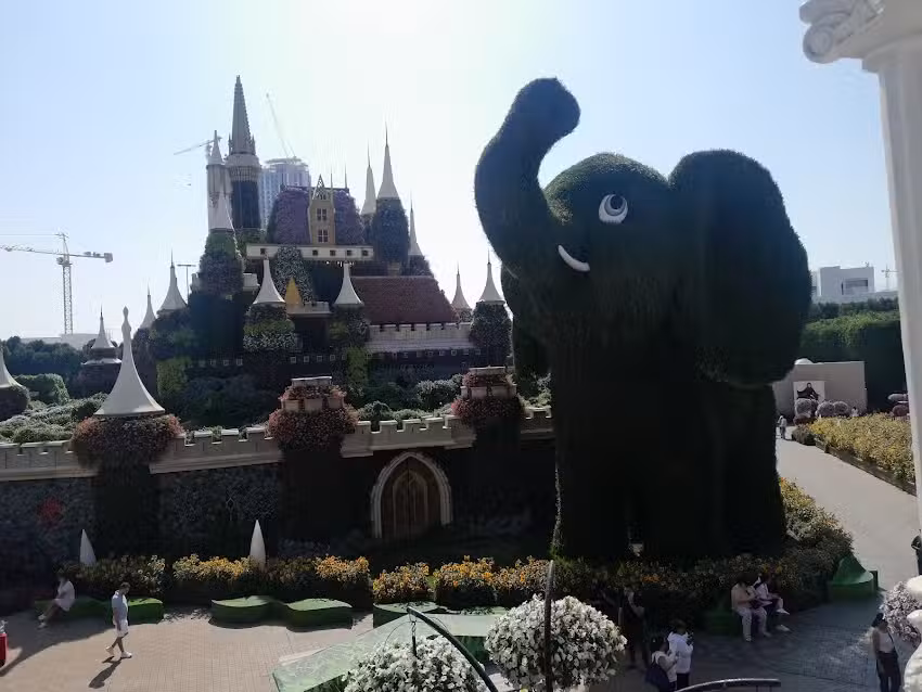 Xotic Travel Coronel Suarez