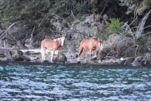 Xploring Argentina – Adventure Travel Company