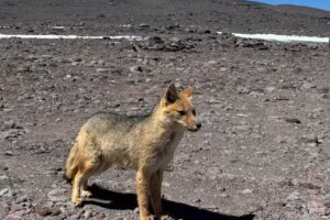 yandepi adventure catamarca
